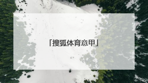 「搜狐体育意甲」意甲新闻搜狐体育