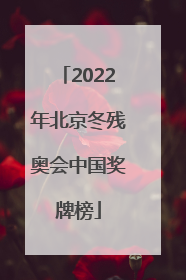 2022年北京冬残奥会中国奖牌榜