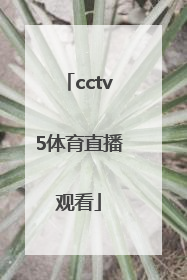 「cctv5体育直播观看」CCTv5女排直播