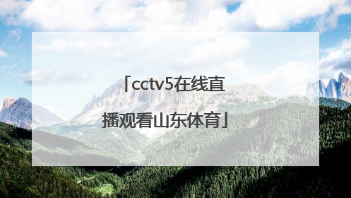 「cctv5在线直播观看山东体育」cctv5十体育在线直播观看女排