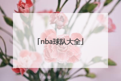 「nba球队大全」台湾nba球队名字大全