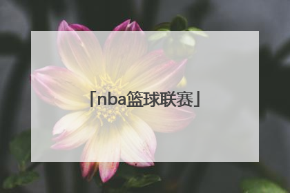 「nba篮球联赛」NBA篮球联赛排名